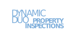 Dynamic Duo Property Inspection